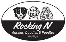 Rocking N Aussies, Doodles & Poodles